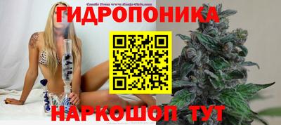 круглые Краснознаменск